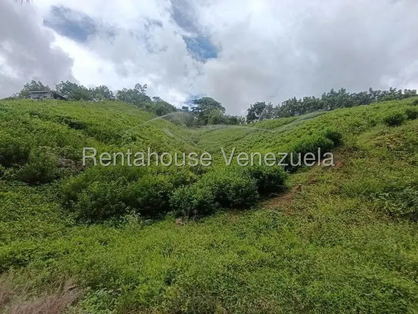 Terreno (Finca) en Venta en Sector El Carmen, Aragua - 15