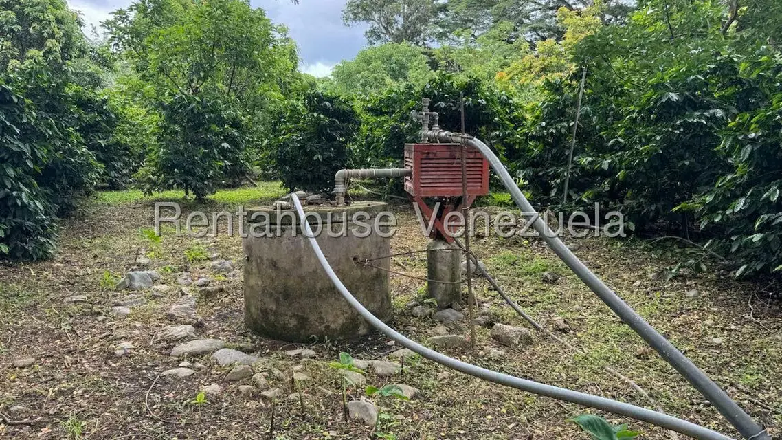 Terreno (Finca) en Venta en Sector El Carmen, Aragua - 17