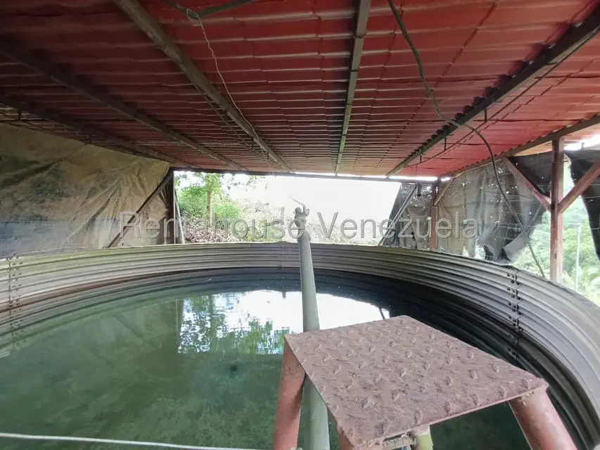 Terreno (Finca) en Venta en Sector El Carmen, Aragua - 20