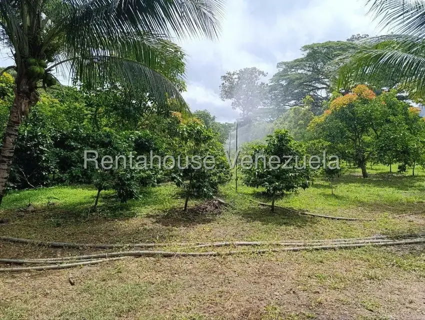 Terreno (Finca) en Venta en Sector El Carmen, Aragua - 2