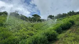 View 21