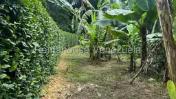 View 24