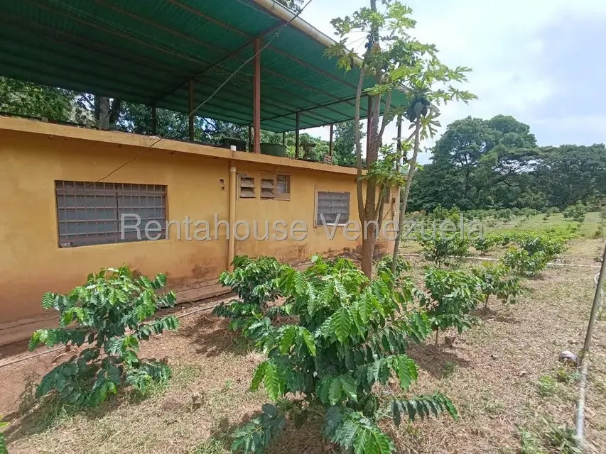 Terreno (Finca) en Venta en Sector El Carmen, Aragua - 39