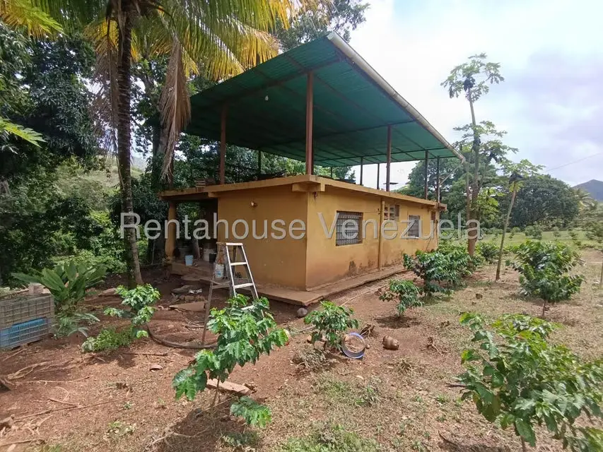 Terreno (Finca) en Venta en Sector El Carmen, Aragua - 40