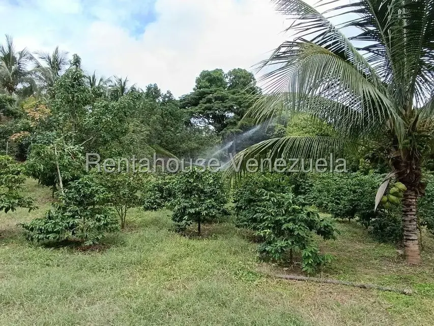 Terreno (Finca) en Venta en Sector El Carmen, Aragua - 45