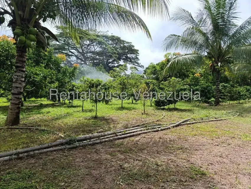 Terreno (Finca) en Venta en Sector El Carmen, Aragua - 46