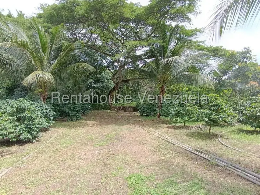 Terreno (Finca) en Venta en Sector El Carmen, Aragua - 47