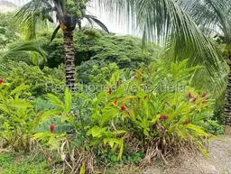 View 48