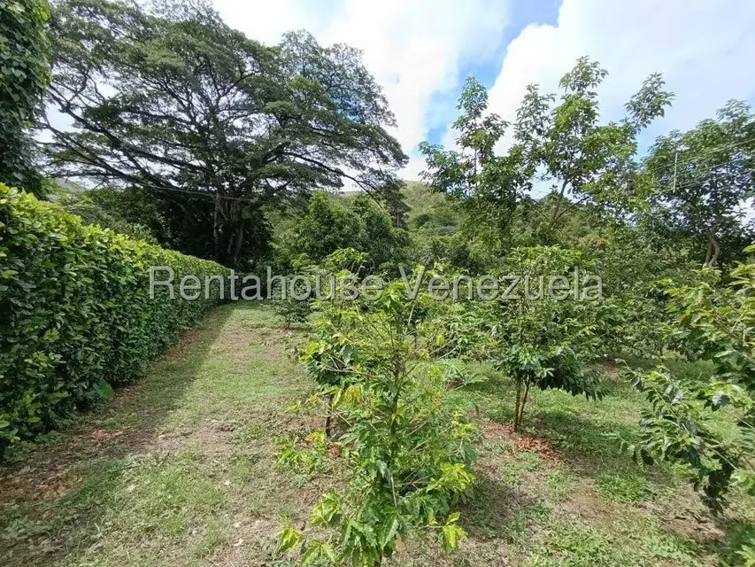 Terreno (Finca) en Venta en Sector El Carmen, Aragua - 50