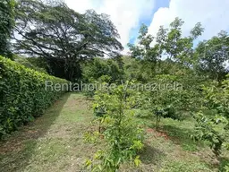 View 50