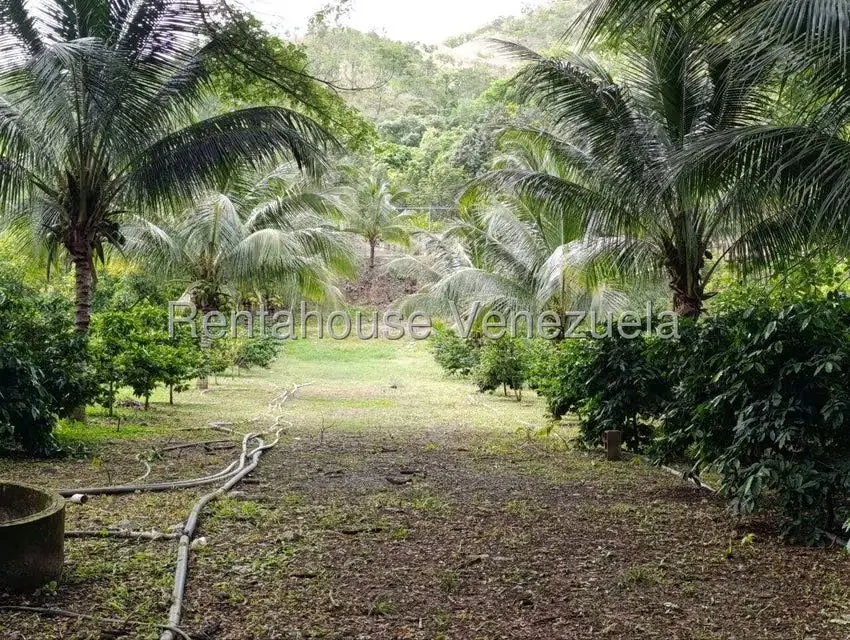Terreno (Finca) en Venta en Sector El Carmen, Aragua - 57