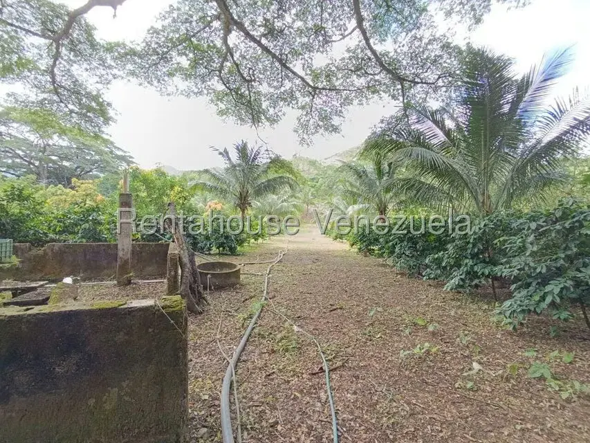 Terreno (Finca) en Venta en Sector El Carmen, Aragua - 58