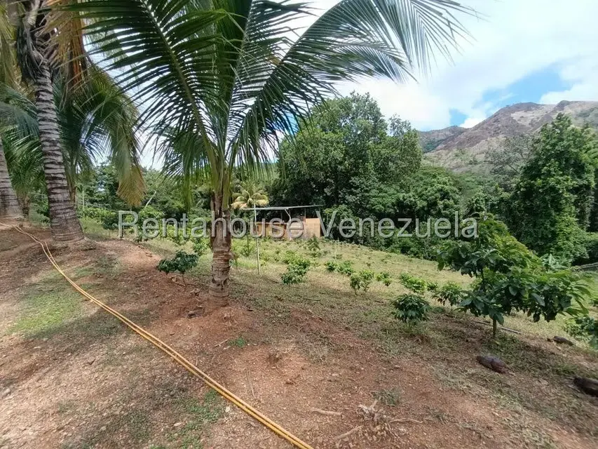 Terreno (Finca) en Venta en Sector El Carmen, Aragua - 59