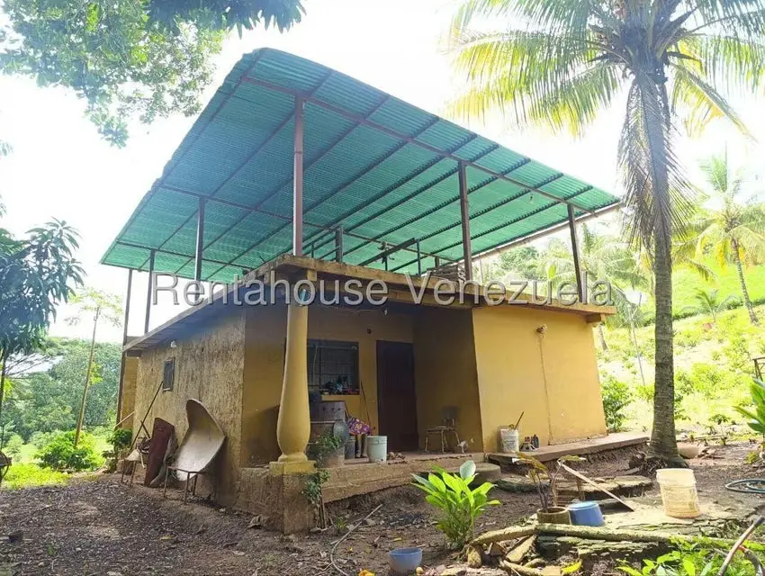 Terreno (Finca) en Venta en Sector El Carmen, Aragua - 60