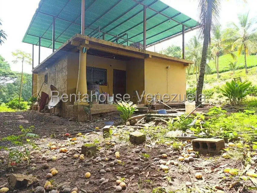 Terreno (Finca) en Venta en Sector El Carmen, Aragua - 61