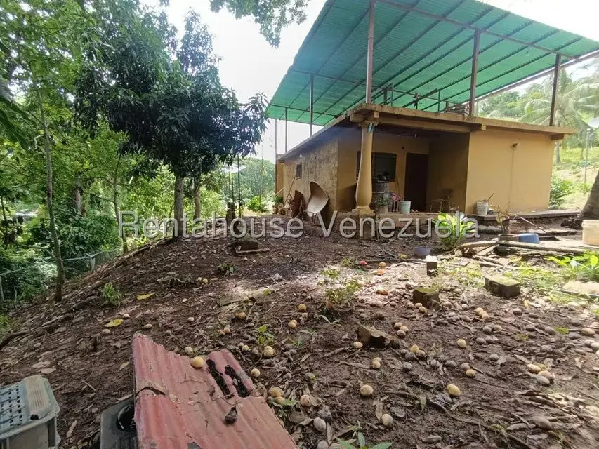 Terreno (Finca) en Venta en Sector El Carmen, Aragua - 62