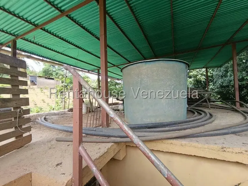 Terreno (Finca) en Venta en Sector El Carmen, Aragua - 64