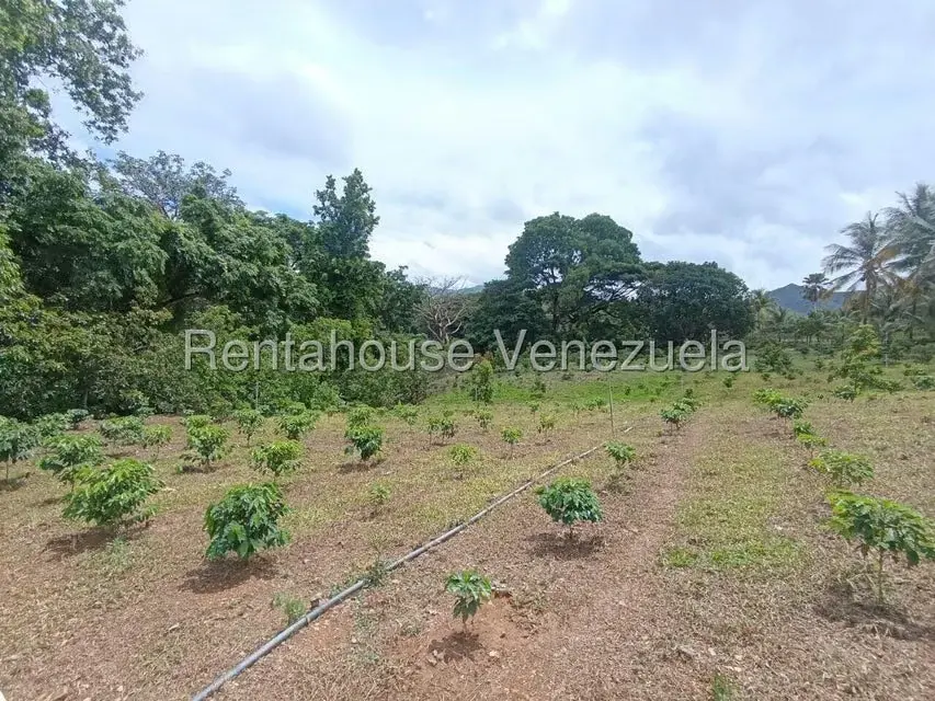 Terreno (Finca) en Venta en Sector El Carmen, Aragua - 66