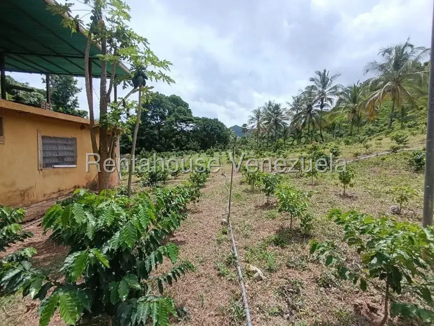 Terreno (Finca) en Venta en Sector El Carmen, Aragua - 68