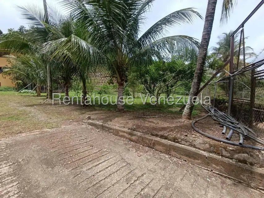 Terreno (Finca) en Venta en Sector El Carmen, Aragua - 69
