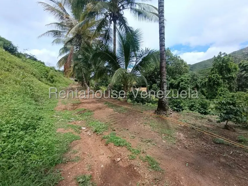 Terreno (Finca) en Venta en Sector El Carmen, Aragua - 7