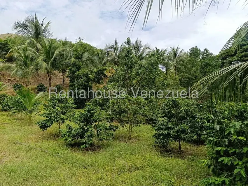 Terreno (Finca) en Venta en Sector El Carmen, Aragua - 78