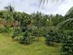 View 78