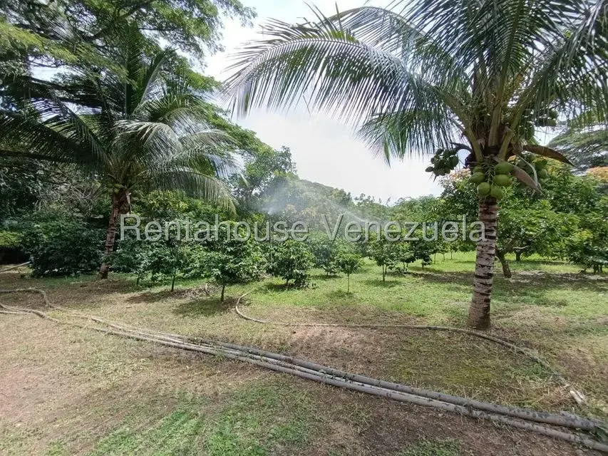 Terreno (Finca) en Venta en Sector El Carmen, Aragua - 8