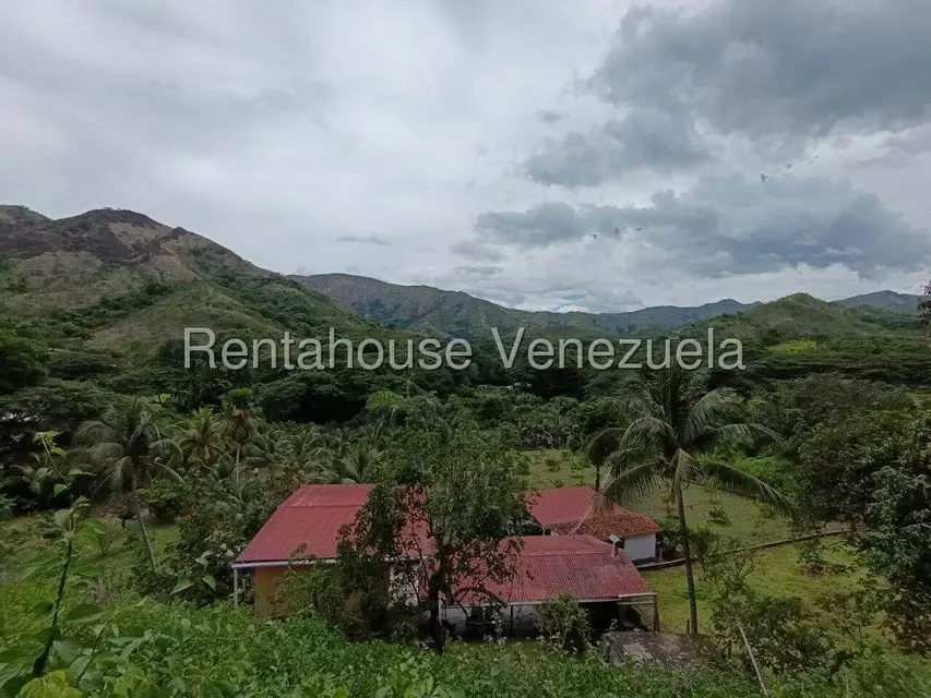 Terreno (Finca) en Venta en Sector El Carmen, Aragua - 81