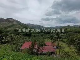 View 81