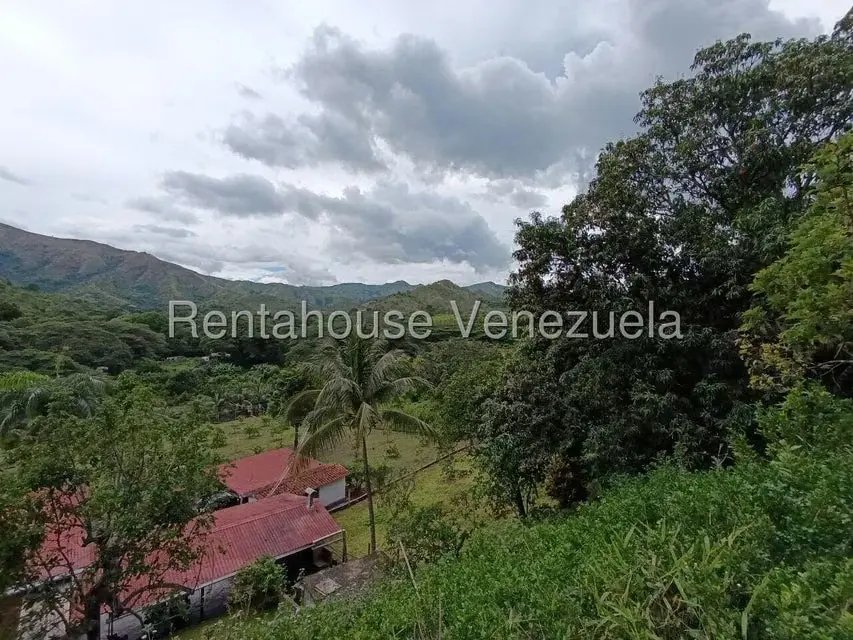 Terreno (Finca) en Venta en Sector El Carmen, Aragua - 82