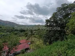 View 82