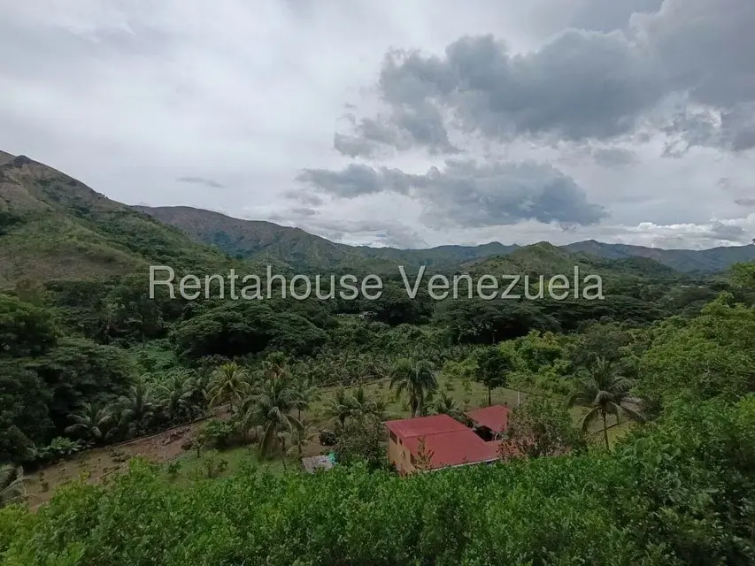 Terreno (Finca) en Venta en Sector El Carmen, Aragua - 83