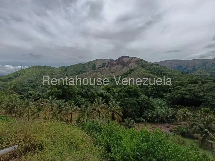 Terreno (Finca) en Venta en Sector El Carmen, Aragua - 84