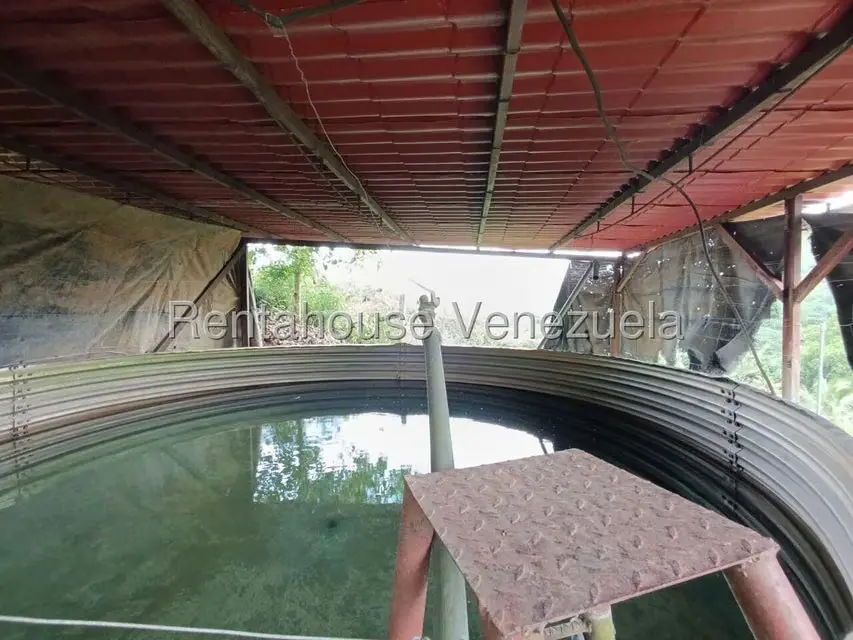 Terreno (Finca) en Venta en Sector El Carmen, Aragua - 88