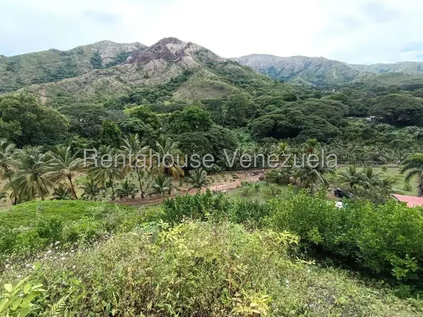 Terreno (Finca) en Venta en Sector El Carmen, Aragua - 89