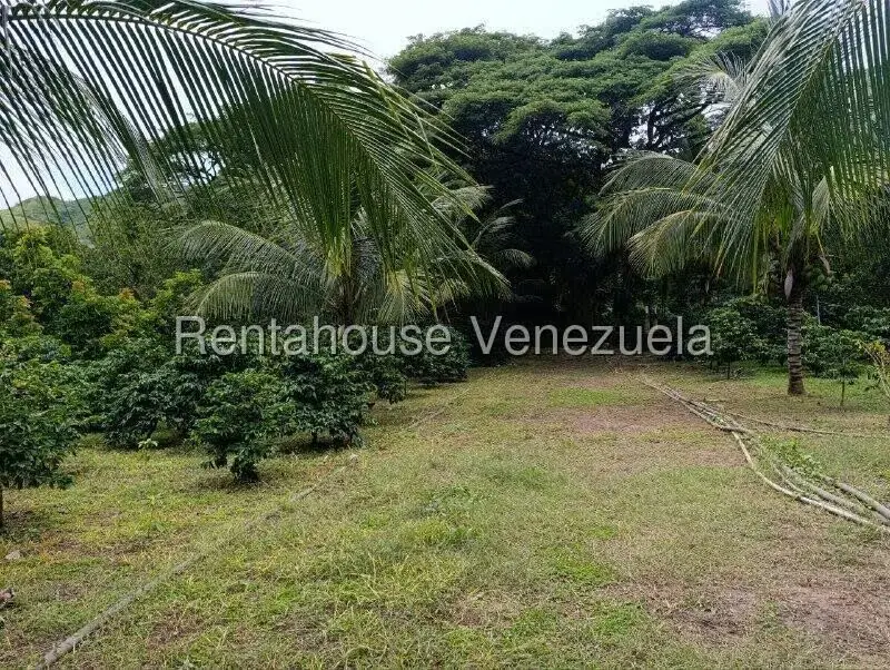 Terreno (Finca) en Venta en Sector El Carmen, Aragua - 96