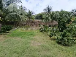 View 99