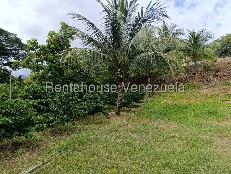 Terreno (Finca) en Venta en Sector El Carmen, Aragua - 100
