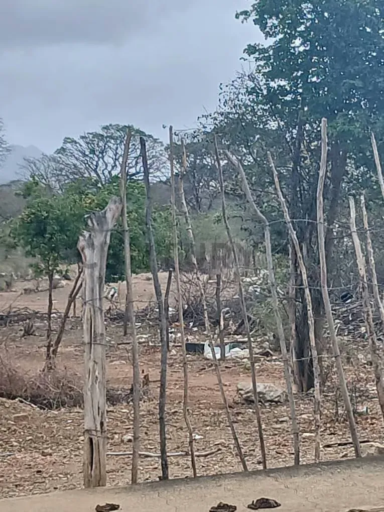 TERRENO EN VENTA. EN LA VECINDAD. A MINUTOS DE VIA PRINCIPAL. - 2