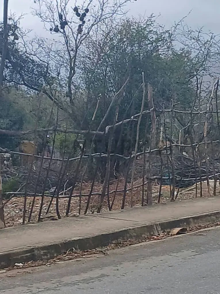TERRENO EN VENTA. EN LA VECINDAD. A MINUTOS DE VIA PRINCIPAL. - 5