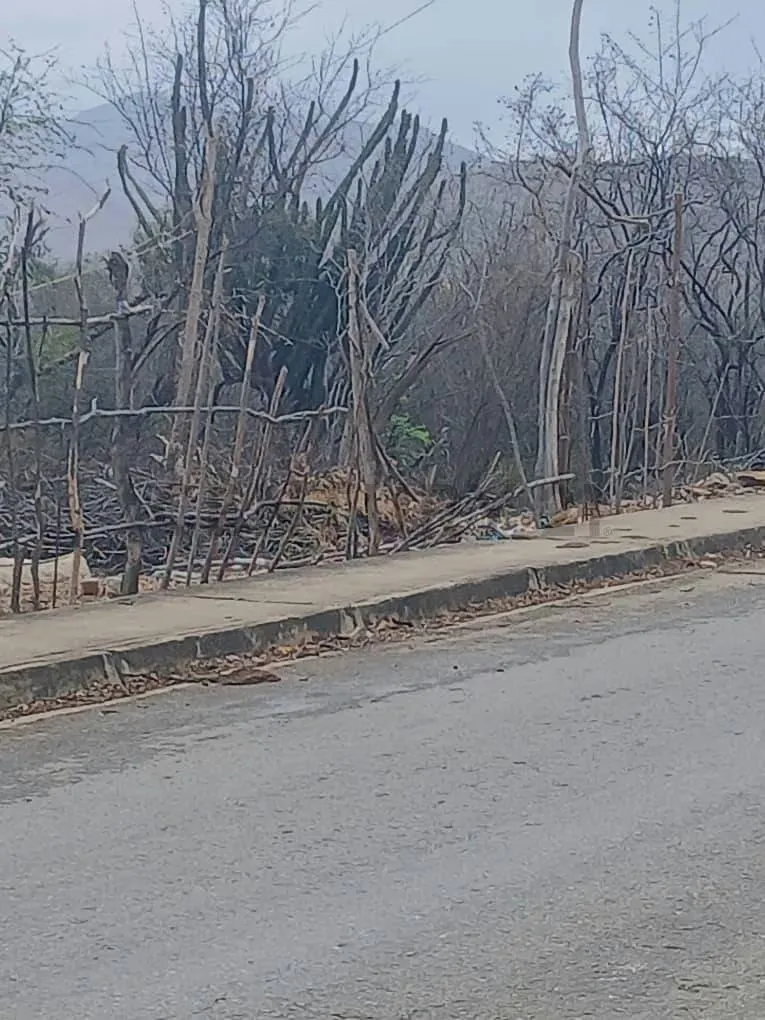 TERRENO EN VENTA. EN LA VECINDAD. A MINUTOS DE VIA PRINCIPAL. - 6
