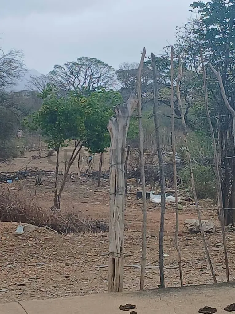 TERRENO EN VENTA. EN LA VECINDAD. A MINUTOS DE VIA PRINCIPAL. - 9