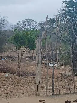 Vista 9