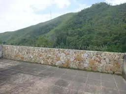 Vista 19