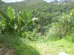 Vista 24