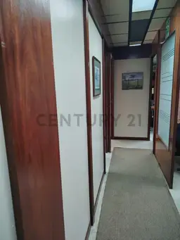 View 11