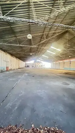 Vista 6
