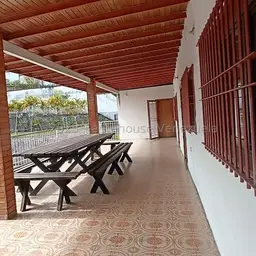 View 32