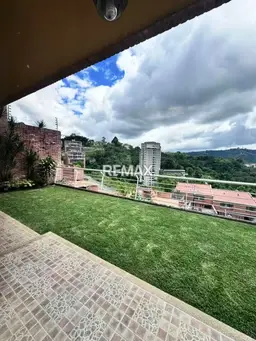 Vista 19